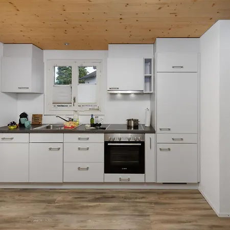 Holiday home Dori By Interhome Interlaken